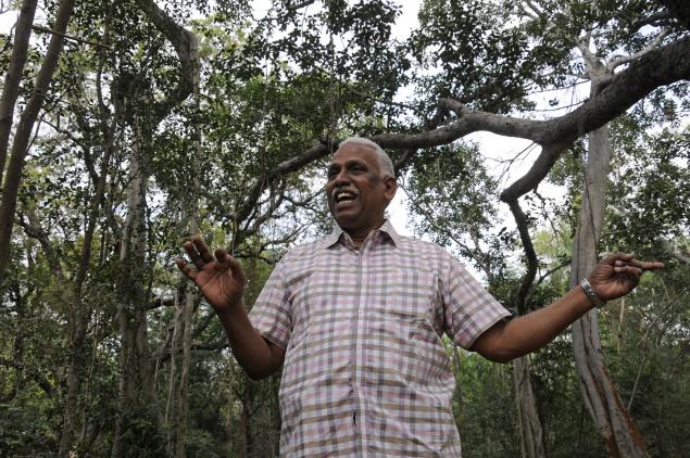 Kudumbam team leader Oswald Quintal at the Ammankorai community forest between Killukulavaipatti and Ulangankathanpatti villages, one of 11 such sacred groves re-afforested by the NGO in the 1980s. Photo: M. Srinath